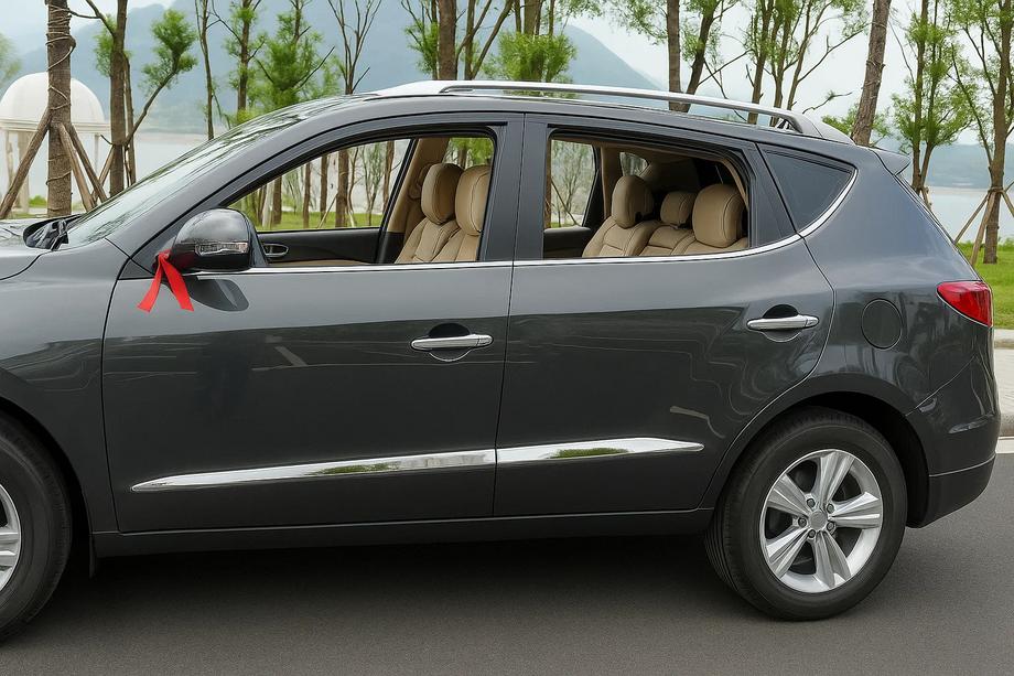 Geely Emgrand X7 2011– Libao dørpanel-lister (4 stk., plast) Image