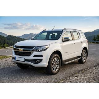 BlackLine sidetrin (2 stk., aluminium) foto 1