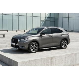 BlackLine sidetrin (2 stk., aluminium) foto 1
