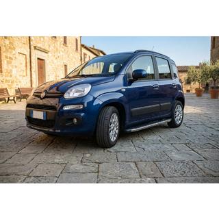 BlackLine sidetrin (2 stk., aluminium) foto 1